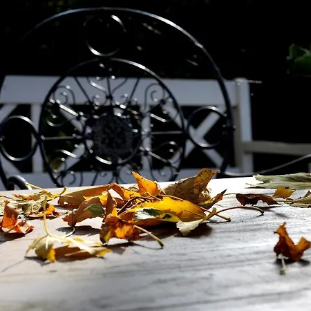 Gut Landegge - Familotel Emsland 4* Haren